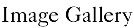 Image Gallery